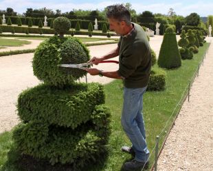 Topiary art
