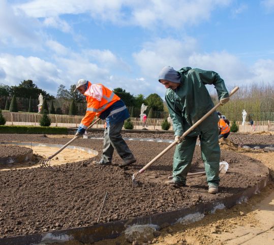 Preparation of the soil