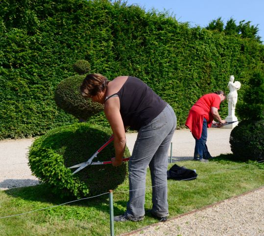 Trimming the topiary features